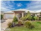 36 Shimao Crescent, North Lakes QLD 4509