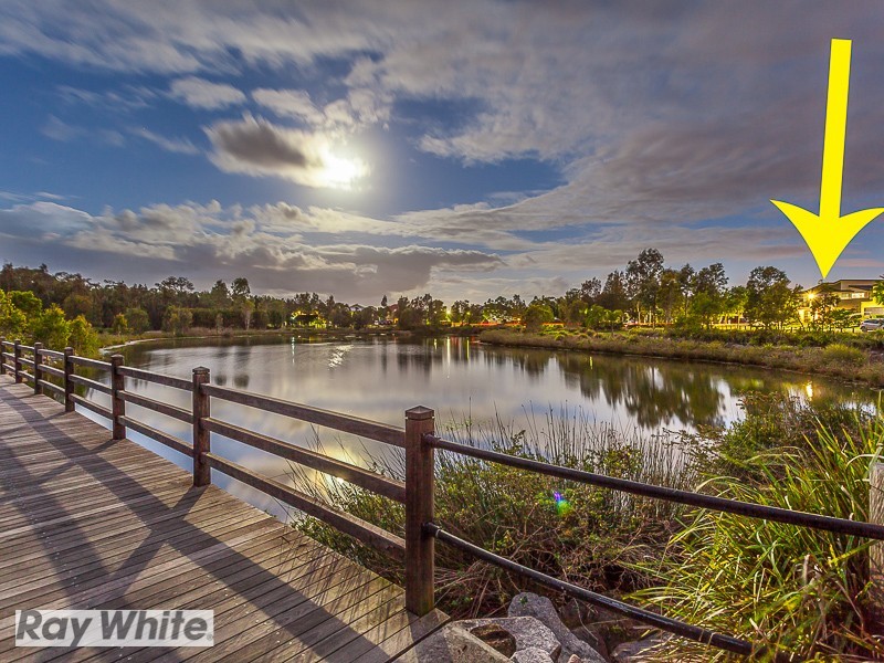 16 Lacebark Street, North Lakes QLD 4509