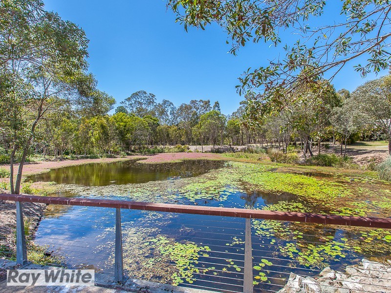 51 Heathcote Avenue, North Lakes QLD 4509