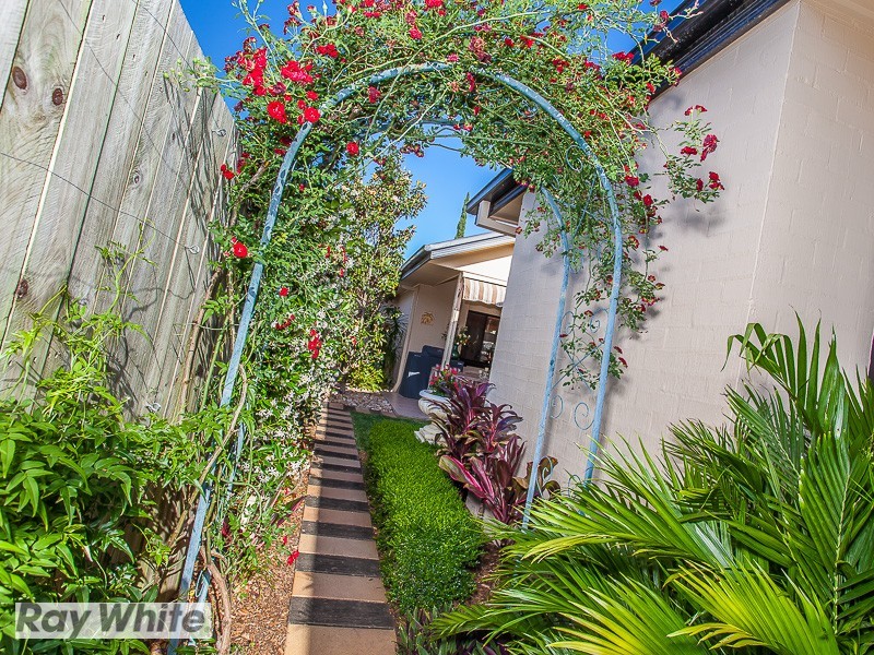 11 Whitebeech Court, North Lakes QLD 4509