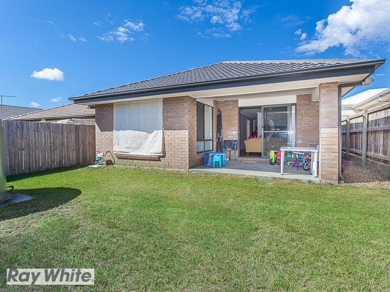 69 Daintree Circuit, North Lakes QLD 4509