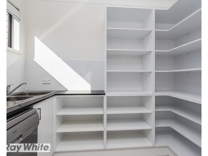 38 Tattler Street, Mango Hill QLD 4509