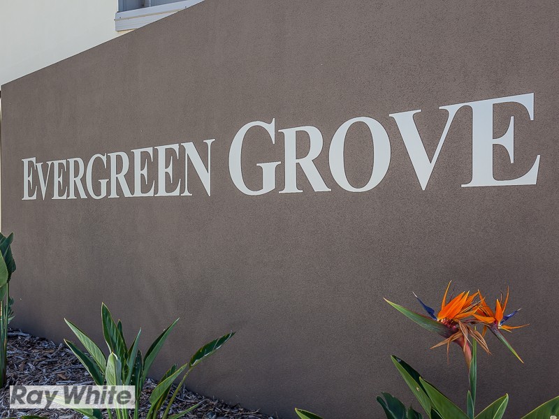 17/128 Kinsellas Road West, Mango Hill QLD 4509