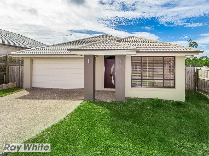 41 Borbidge Street, North Lakes QLD 4509