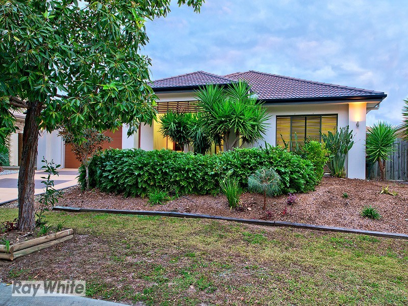 40 Lacebark Street, North Lakes QLD 4509