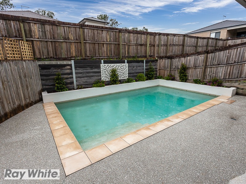 18 Pademelon Circuit, North Lakes QLD 4509