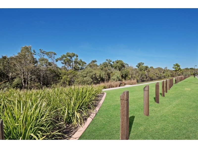 14 Mapleton Drive, North Lakes QLD 4509