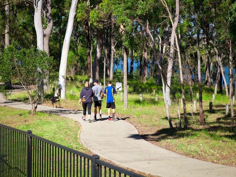 4 Clarence Street, Murrumba Downs QLD 4503