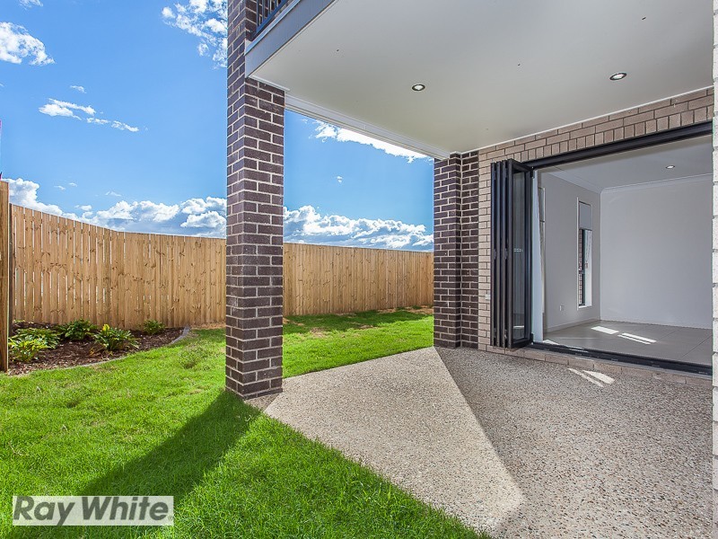 38 Tattler Street, Mango Hill QLD 4509