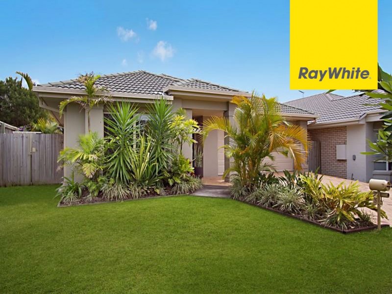 25 Cottonwood Cct, North Lakes QLD 4509