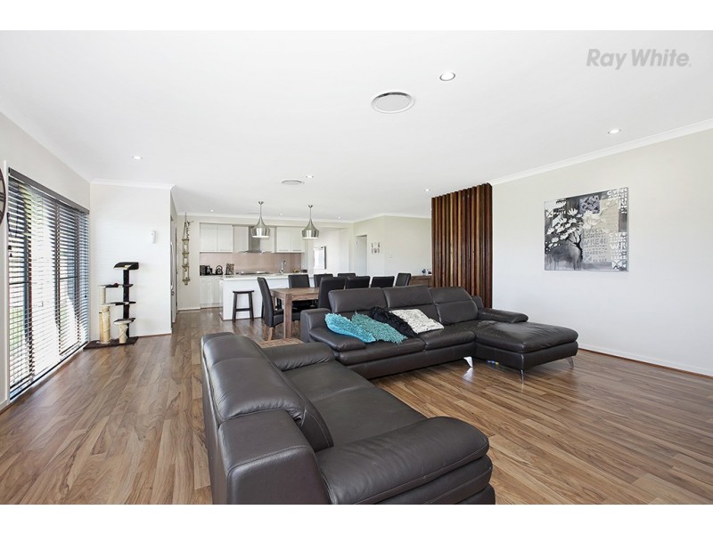 31 Abercrombie Street, Mango Hill QLD 4509
