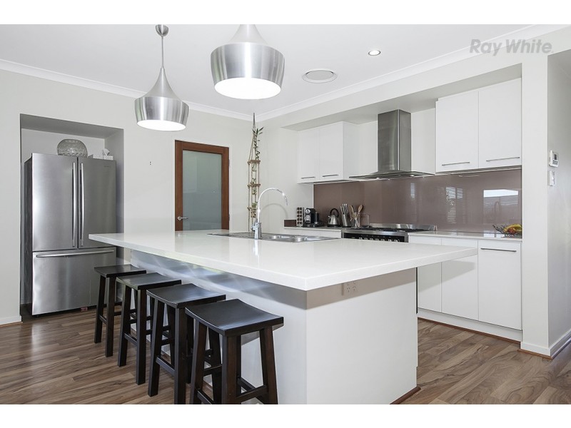 31 Abercrombie Street, Mango Hill QLD 4509