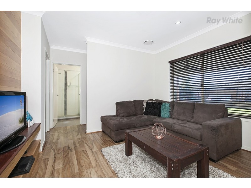 31 Abercrombie Street, Mango Hill QLD 4509