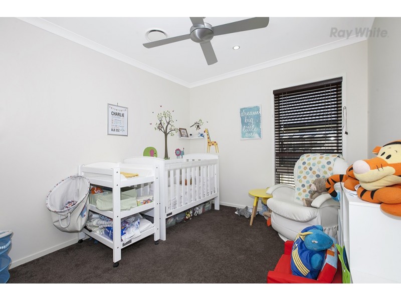 31 Abercrombie Street, Mango Hill QLD 4509