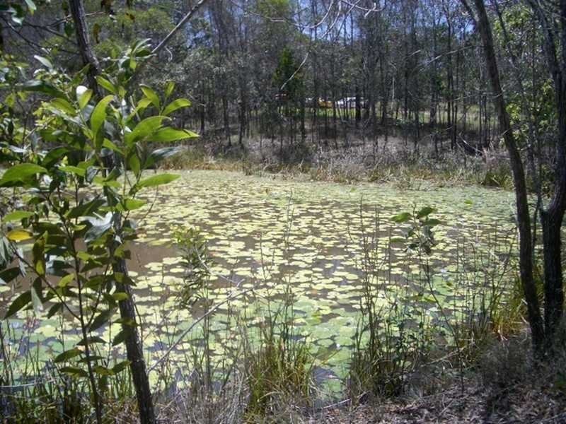 14 Gem Court, Alberton QLD 4207