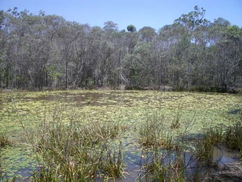 14 Gem Court, Alberton QLD 4207