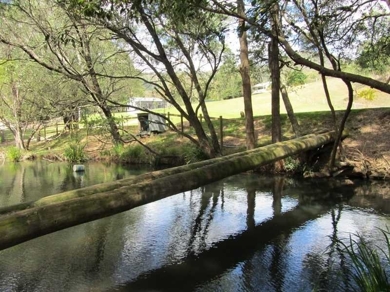 520 Cedar Creek Road, Cedar Creek QLD 4207