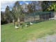 520 Cedar Creek Road, Cedar Creek QLD 4207