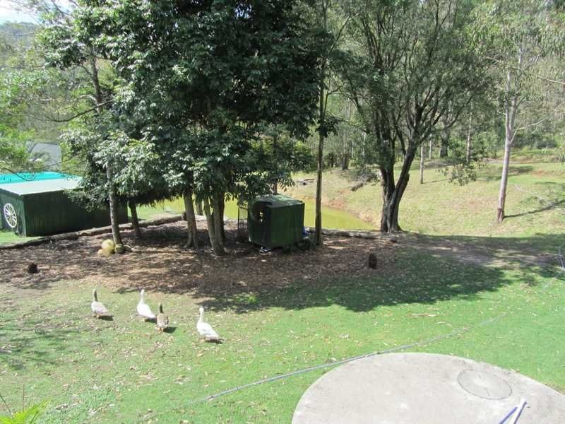 520 Cedar Creek Road, Cedar Creek QLD 4207