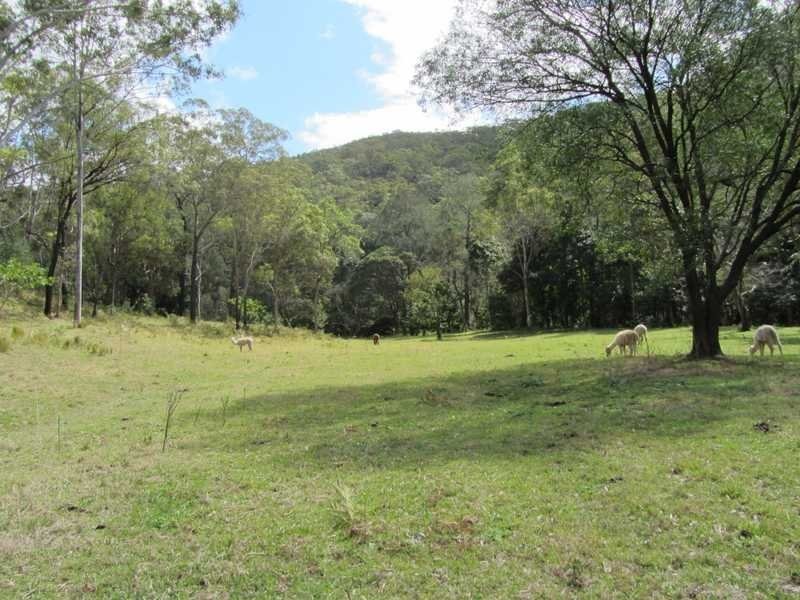 520 Cedar Creek Road, Cedar Creek QLD 4207