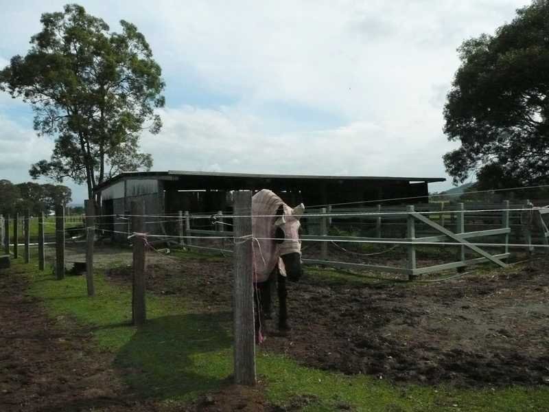 18 Faciles Road, Alberton QLD 4207