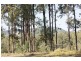 296 Boomerang Road, Tamborine QLD 4270