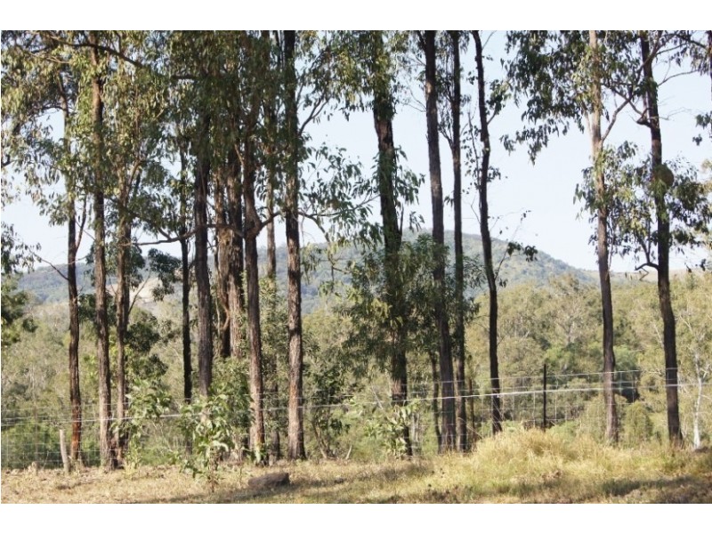 296 Boomerang Road, Tamborine QLD 4270