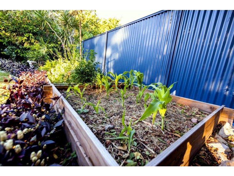 25 Sirus Street, Eagleby QLD 4207