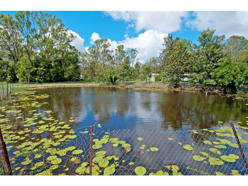 497 Waterford-Tamborine Road, Buccan QLD 4207