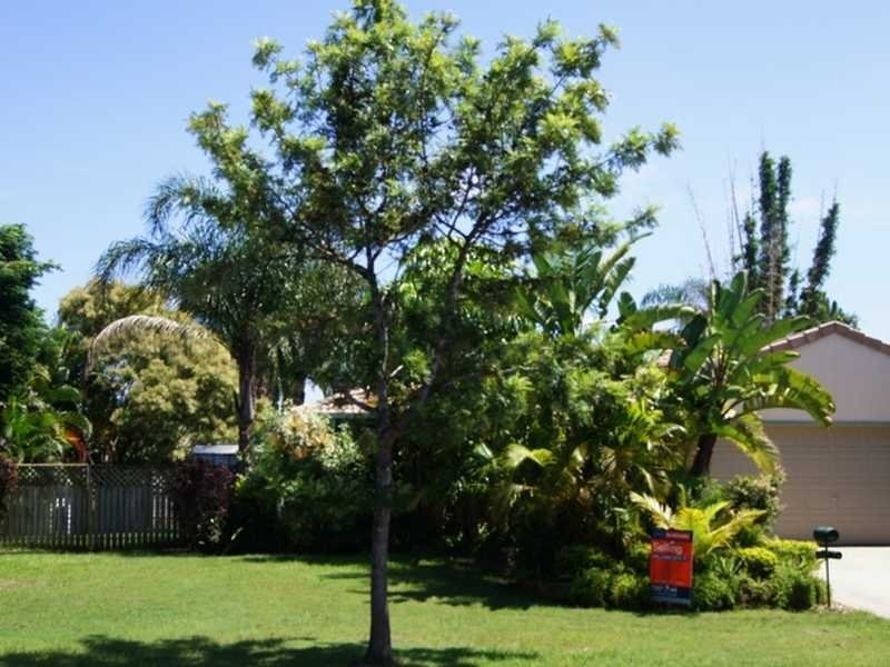 53 Allenby Crescent, Windaroo QLD 4207