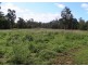 249-275 Hotz Road, Logan Village QLD 4207