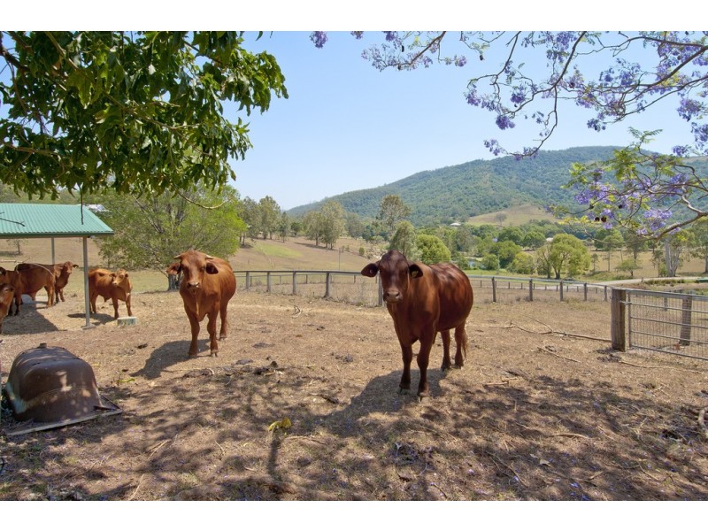308 Cedar Creek Road, Cedar Creek QLD 4207