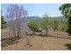 308 Cedar Creek Road, Cedar Creek QLD 4207