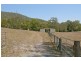 308 Cedar Creek Road, Cedar Creek QLD 4207
