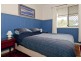 308 Cedar Creek Road, Cedar Creek QLD 4207