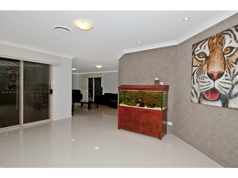 44 St Stephens Drive, Upper Coomera QLD 4209