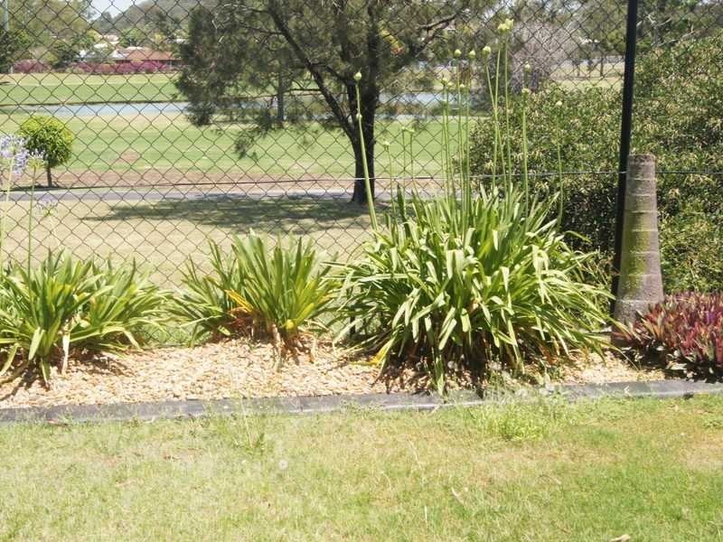 29 The Avenue, Windaroo QLD 4207