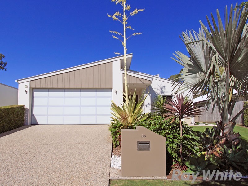 36 Ray Street, Carseldine QLD 4034