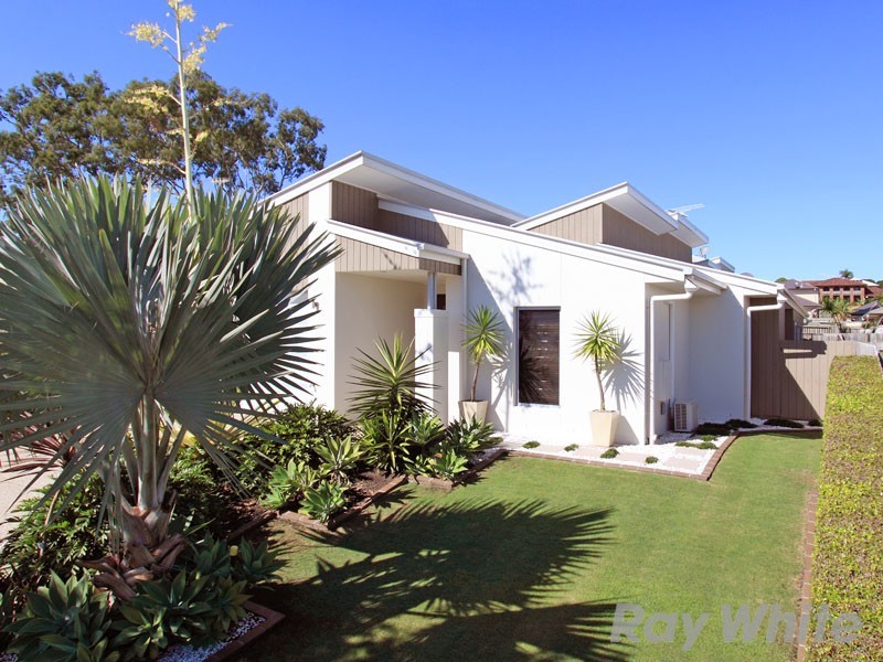 36 Ray Street, Carseldine QLD 4034