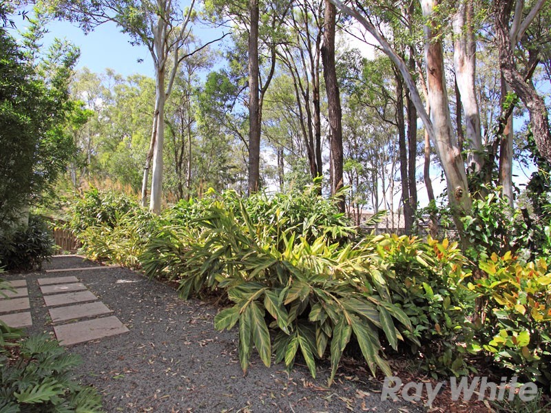 5 Boxwood Place, Carseldine QLD 4034