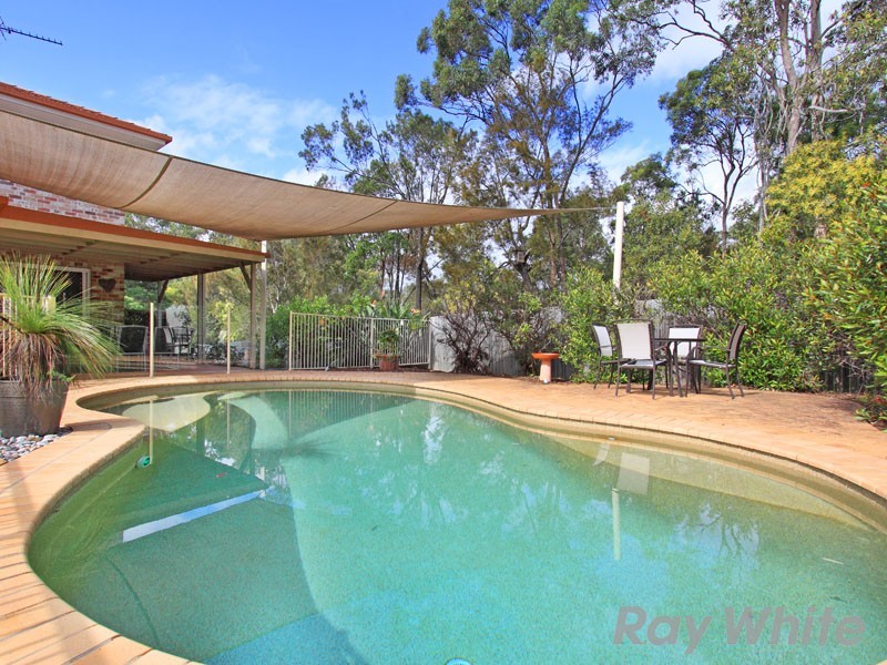 17 Kosta Place, Albany Creek QLD 4035