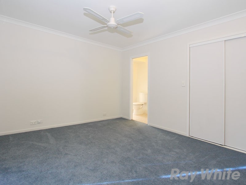99 Wimbledon Circuit, Carseldine QLD 4034