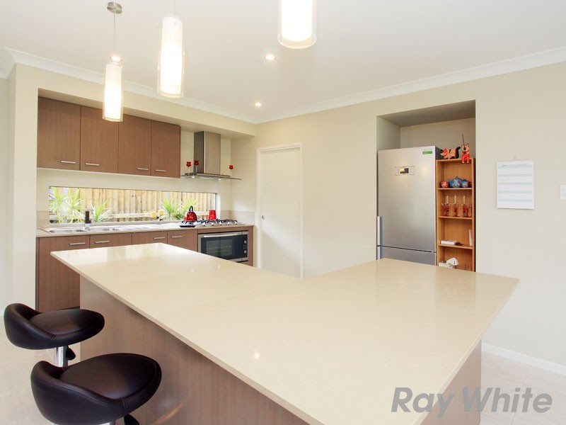 6 Serendipita Street, Bridgeman Downs QLD 4035