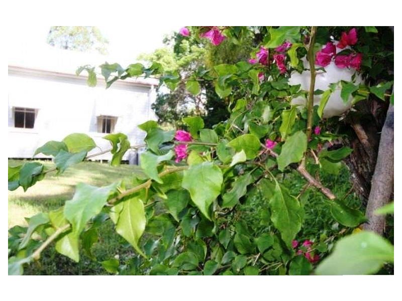 517 Clear Mountain Road, Clear Mountain QLD 4500