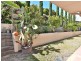 31 Whittome Esplanade, Murrumba Downs QLD 4503