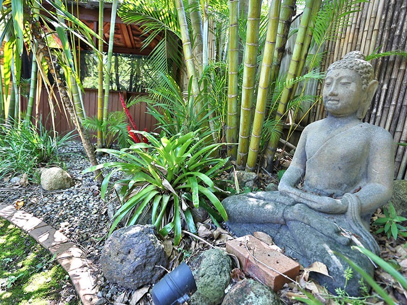 10 Habitat Place, Bridgeman Downs QLD 4035