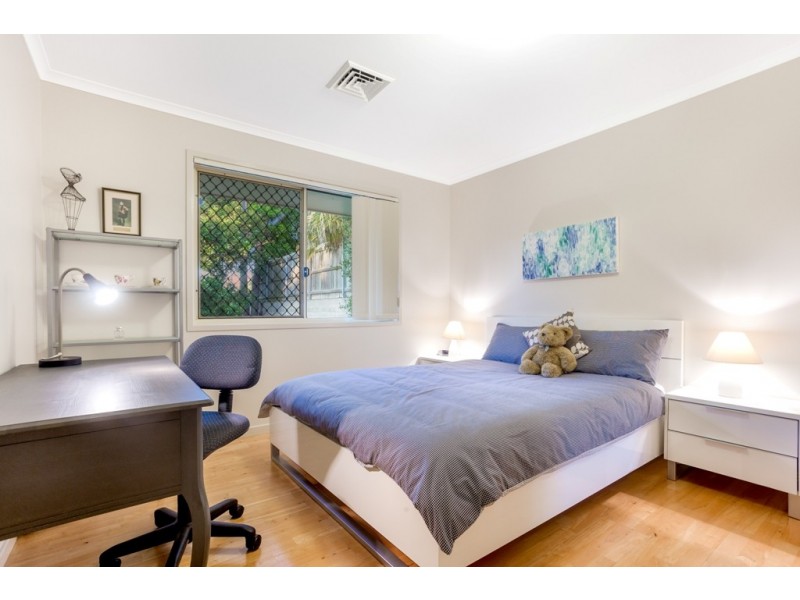 3 Bookleaf Place, Bridgeman Downs QLD 4035