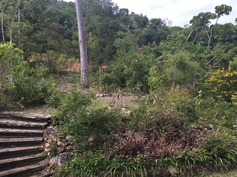 4 Ross Street, Yeppoon QLD 4703