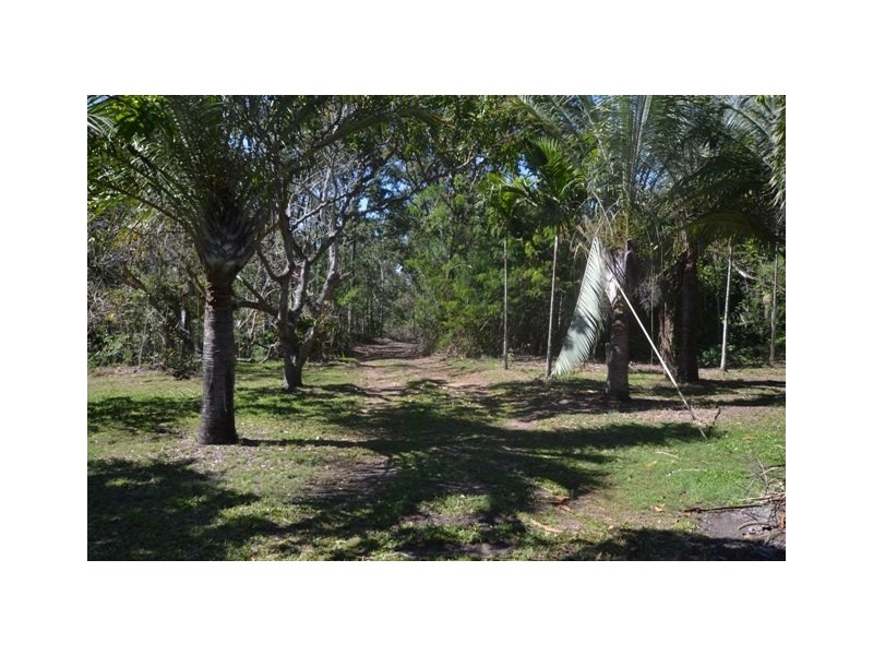 99 Barmaryee Road, Barmaryee QLD 4703