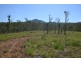 Lot 32 Tanby Post Office Road, Tanby QLD 4703